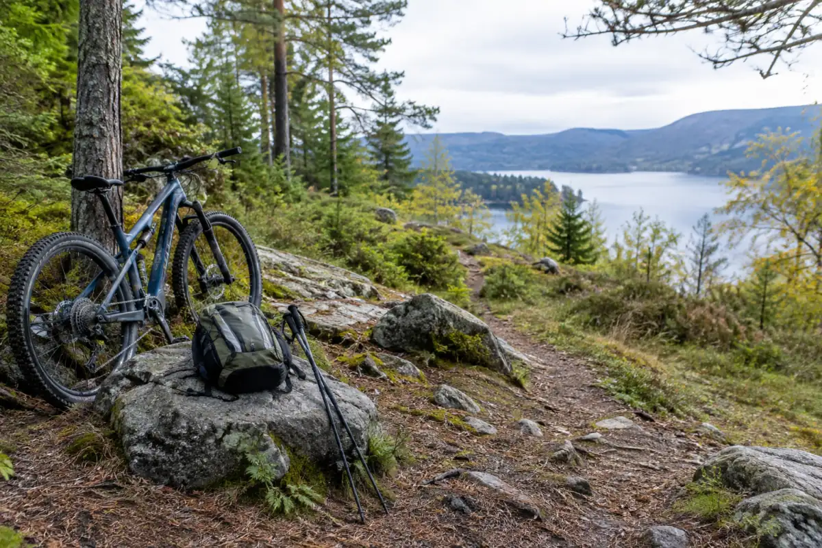 Sentier forestier avec bâtons de randonnée, VTT et lac en arrière-plan, illustrant plusieurs sports de pleine nature.