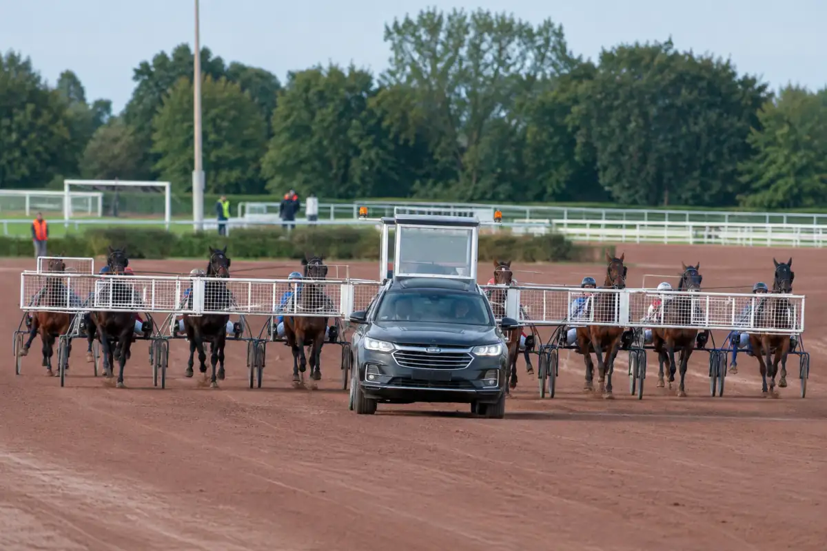 Trotteurs et sulkys alignés derrière les ailes d’un autostart, juste avant le signal de départ d’une course.