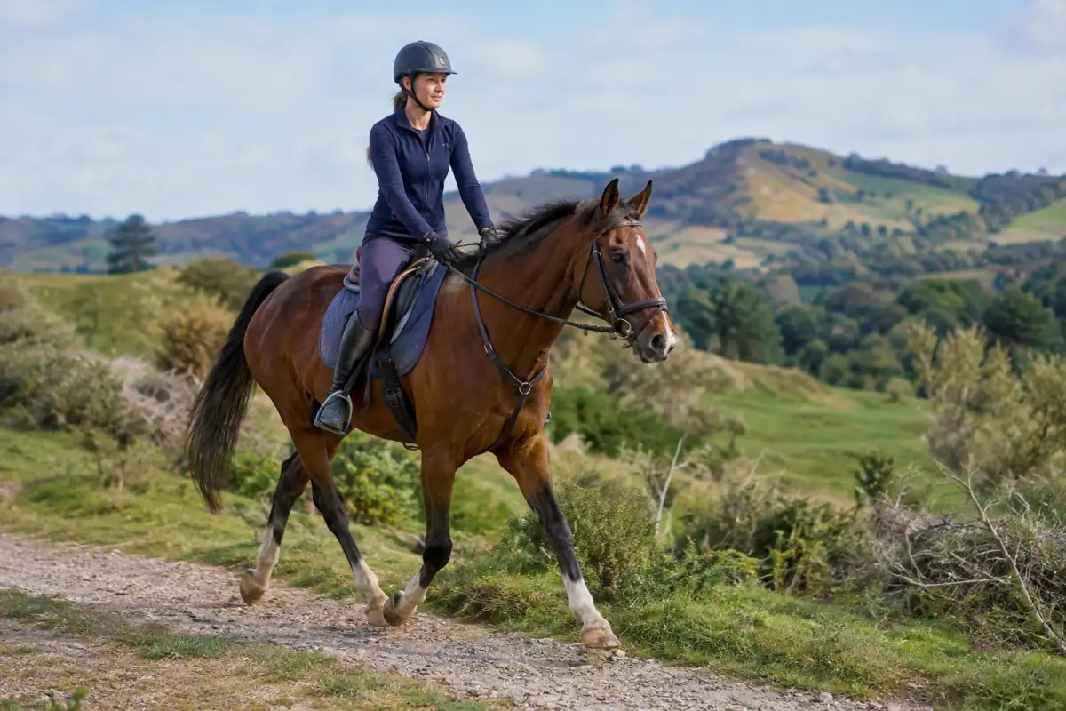 Cheval au trot avec sa cavalière sur un chemin vallonné, lors d’une séance de préparation à l’endurance équestre.