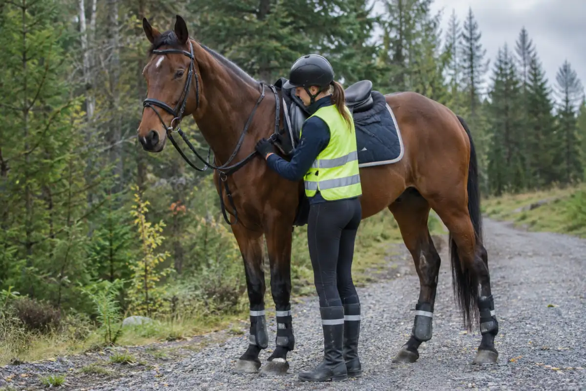 Un cavalier vérifie la selle, le tapis et les protections de son cheval avant une sortie d’endurance sur un chemin.