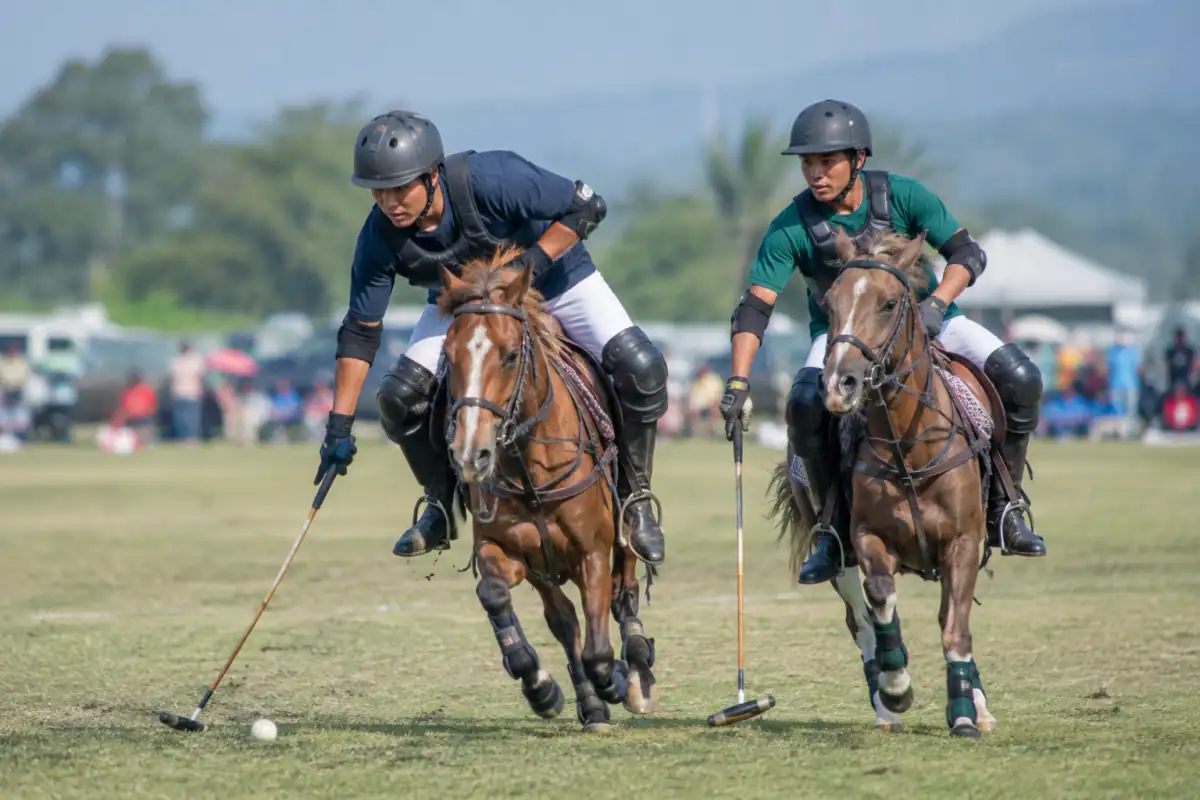 Joueurs de Manipur polo à cheval frappant une balle au maillet sur un terrain gazonné au Manipur.