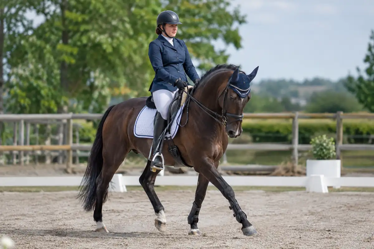 Cavalier de para-dressage en reprise dans une carrière, monté sur un cheval équipé de matériel adapté.
