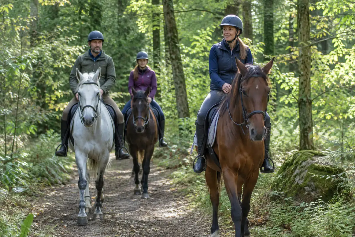 Randonnée équestre en forêt : des cavaliers casqués avancent au pas sur un chemin rural avec leurs chevaux sellés.