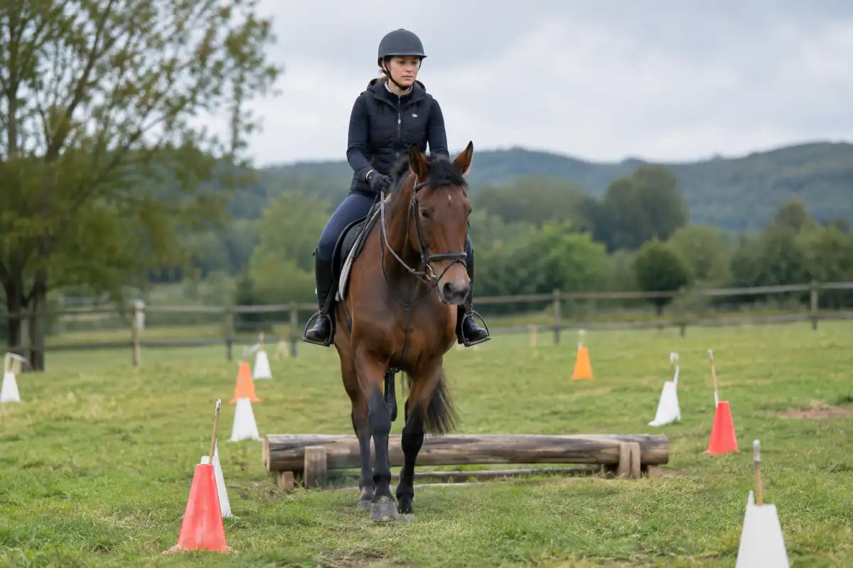 Cavalier de TREC guidant son cheval au pas dans un couloir balisé avant un obstacle de terrain varié.