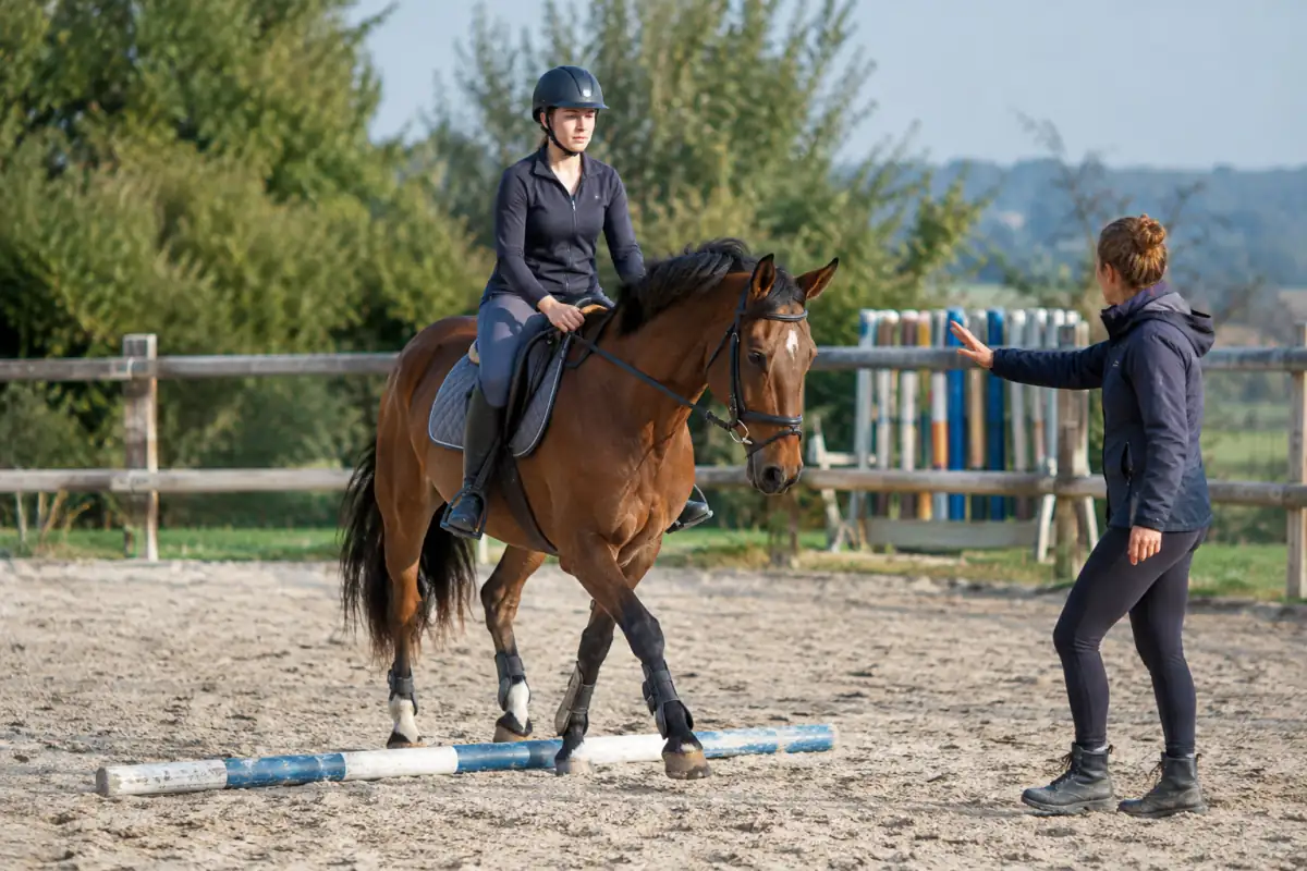 Un adulte débutant franchit une barre au sol au trot, encadré par son moniteur dans la carrière du club.