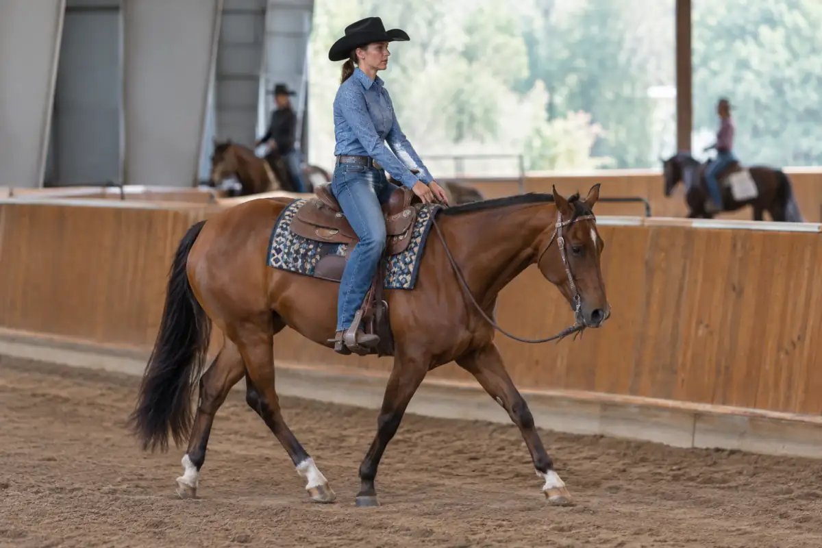 Une cavalière mène son Quarter Horse au jog, rênes souples, dans une carrière lors d’une épreuve de western pleasure.